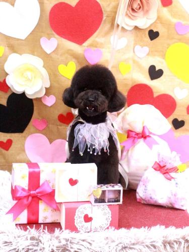 20230209リルくん